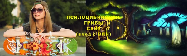 a pvp Алексин
