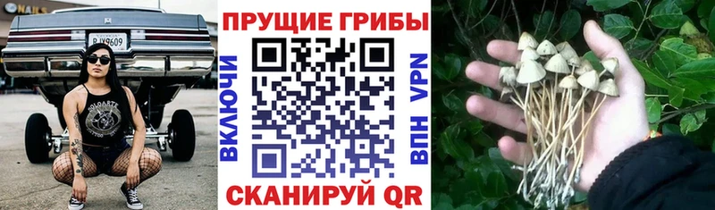 kraken маркетплейс  Ступино  Галлюциногенные грибы мухоморы 